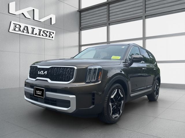 2025 Kia Telluride — detail view
